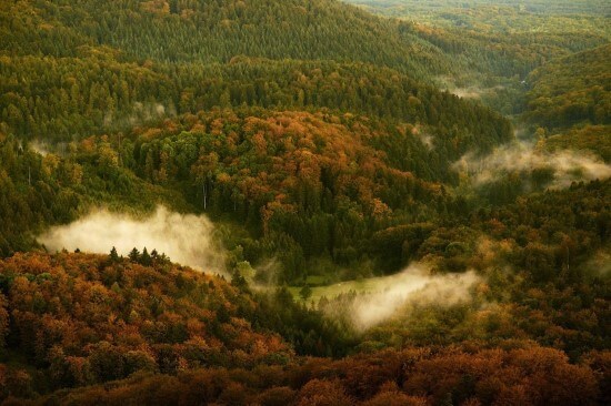 Чёрный лес (Шварцвальд)